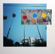 BALDESSARI_PALM-TREES-VIKINGS